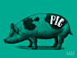 ENGRAVING PIG