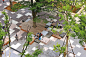 帝京平成大学中野校园景观设计简介 - 学校环境 - 让设计更简单!
