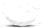 png羽毛素材