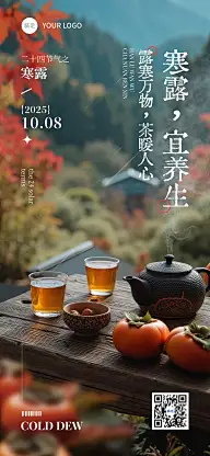 节日 节气海报 竖屏