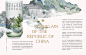 ILLUSTRATED HANDBOOK | 古陶瓷图鉴 - 姜 葱蒜