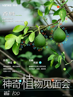 余笙北笙采集到海报 版式