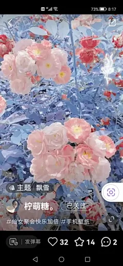 花草 - 高清图片，堆糖，美图壁纸兴趣社区