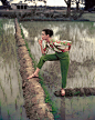 NP_FA_BM003 : Rice fields in the late summer - Iconic Images : Irish-American fashion model Barbara Mullen in India wearing a cotton shirt by Digby Morton and linen slacks by Daks. British Vogue, November 1956.