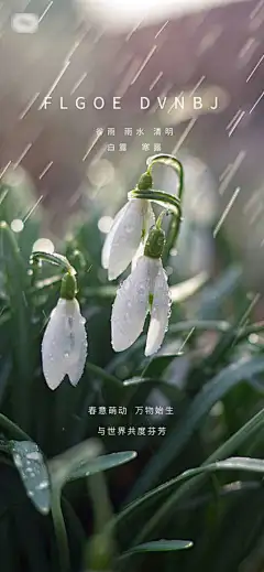 雨水谷雨系列海报-海报,二十四节气,雨水,谷雨,清明,简约,风景,系列