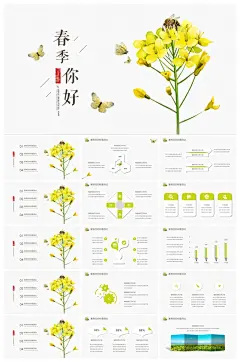 二十四节气立春ppt