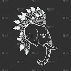 自然美,贺卡,分离着色,白色,亚洲,自然,动物园,非洲,野生动物