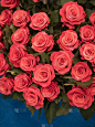 玫瑰,花束,红色,植物,垂直画幅,图像,美,日本,花卉商,花店