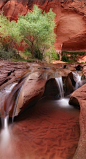 . : : Stunning Nature : : . / Coyote Gulch falls in Escalante Canyon, Utah | See more Amazing Snapz