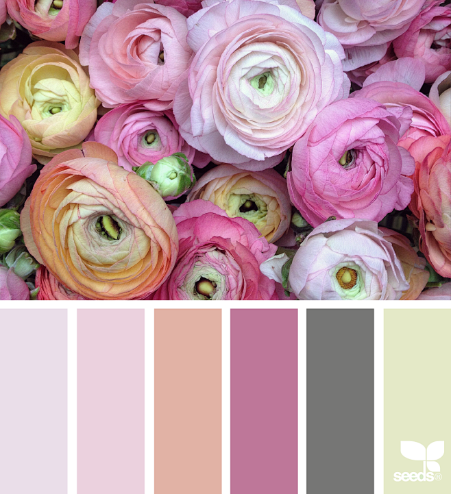 flora hues