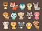15 fur and cute pets dribbble