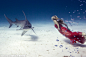 在这些前所未有的照片中，模特们身着华服与海兽们在水中翩翩起舞。身为模特与潜水员的Liz Parkinson与澳大利亚摄影师Jeremy Ferris一同潜入海中与海洋生物近距离接触。