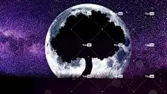 月亮 自由背景 天文学 天空背景 全高清壁纸 没有一个人 行星