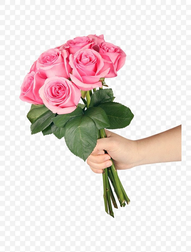 手拿玫瑰花粉色玫瑰花粉玫瑰玫瑰花花情人节母亲节教师节温馨
