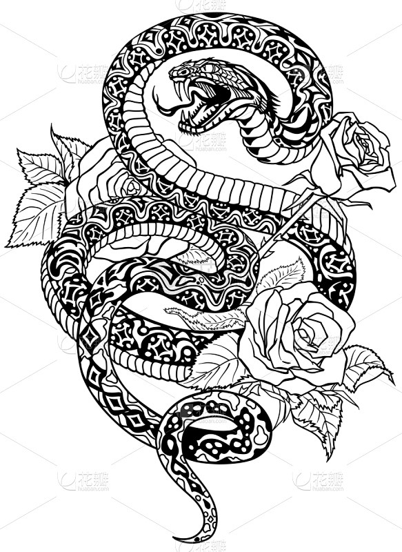 玫瑰,蛇,黑白图片,秘密,卷着的,符号,...