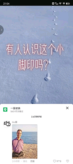 Lareyt采集到其他