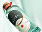 logo Label gin design botanical branding  Packaging typography   visual identity alcohol