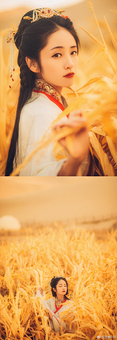 只爱喵星人采集到古风美女
