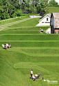 草坪创意地形设计欣赏——万漪景观设计分享