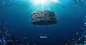 sardine_master_JW_8000px