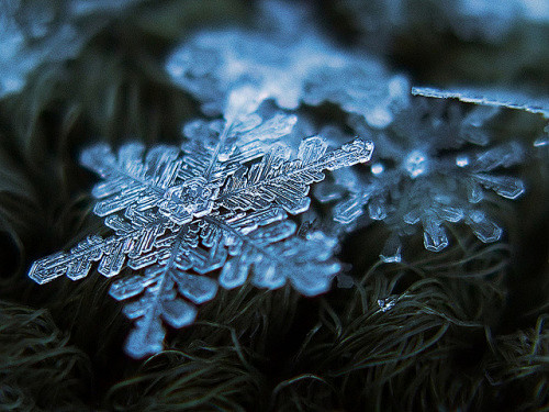 微距雪花摄影，肉眼看不到的造物杰作