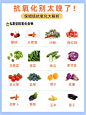 抗氧化热知识全笔记！20+女生真的会谢