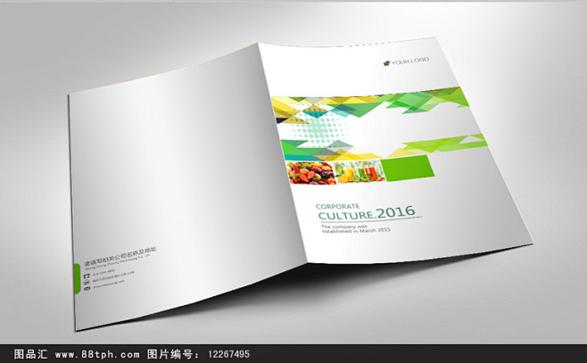 绿色环保几何企业画册封面
