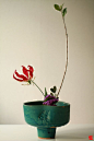 Ikebana '10/11 W4 | by Sennin Photos