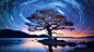 30d0442c-597f-4d2d-a826-685069b02648-4