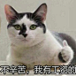 投稿： 想求各种关于... - @社畜茶水间的微博 - 微博