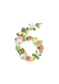 花卉数字高清PNG免抠图 Floral Numbers #1451980
