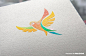 鹦鹉logo/鹦鹉标志/鸟logo/品牌vi设计欣赏