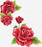 红色玫瑰花矢量图 元素 免抠png 设计图片 免费下载 页面网页 平面电商 创意素材
