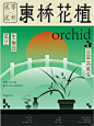 其中包括图片：