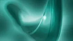 绿色背景