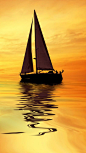 Sail boat 