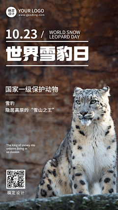 快乐的小琳子采集到动物 图像