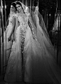 Zuhair Murad Bridal Fall 2017|