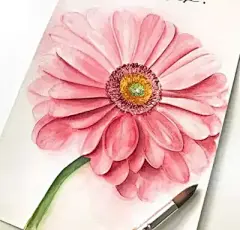 水彩---花卉 - 高清图片，堆糖，美图壁纸兴趣社区