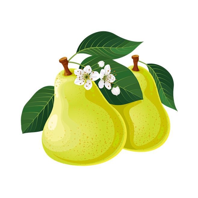 卡通食物 香梨 梨子 png