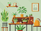 Houseplants – Spread Privacy: Donations snake plant relaxing cactus leaf fern succulent book desk watering can houseplants plants