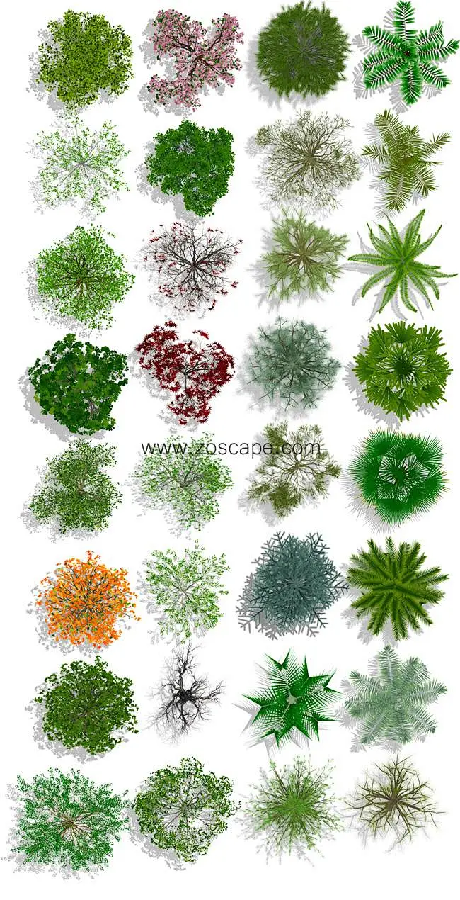 超清景观总平面#PSD分层素材#园林彩平图#植物素材# #zoscape#-花瓣网