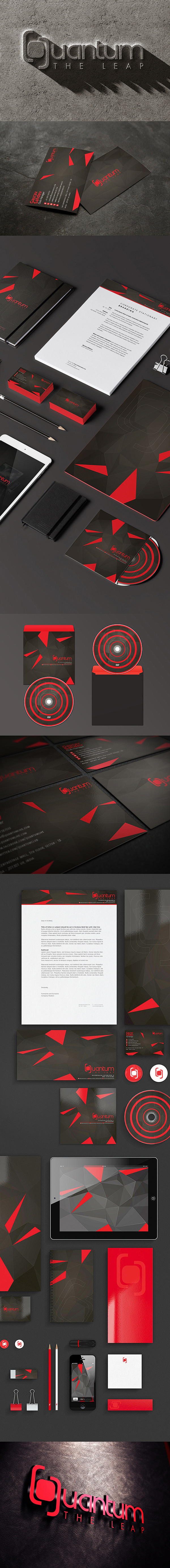 【Quantum The Leap】企业...
