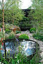 harry and david rich / night sky garden, rhs chelsea 2014: 