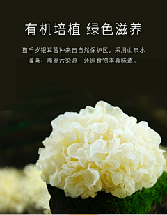 深海鱼鱼鱼采集到小植物