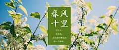 春天立春唯美公众号首图 _公众号封面模板采下来 #率叶插件，让花瓣网更好用#