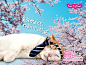 日本广告新星——猫咪“NYARAN”