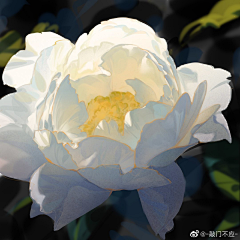 シャナ!采集到兽.小物件