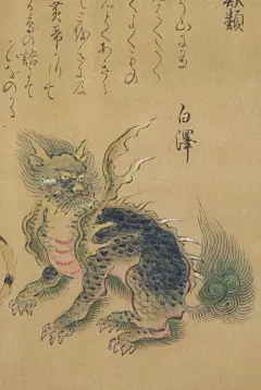 白泽