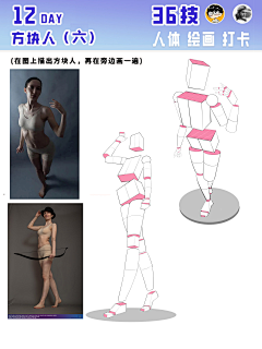 泥可可采集到人体-001